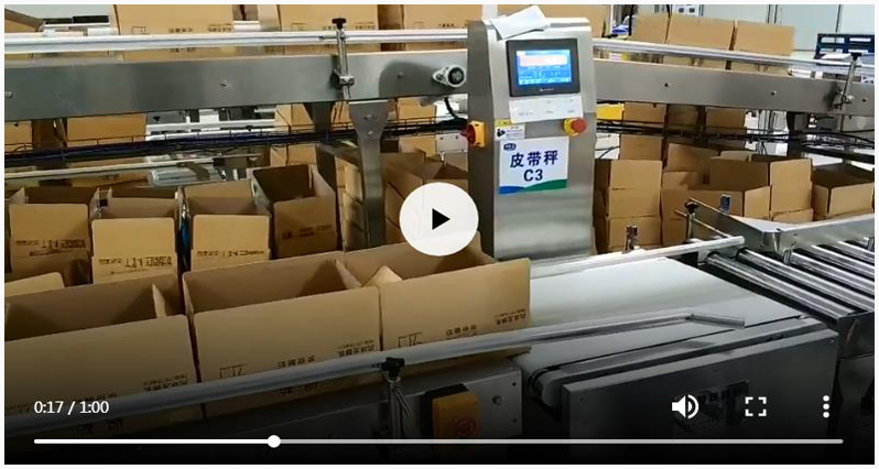 整箱自动称重机 大纸箱自动皮带检重秤客户案例